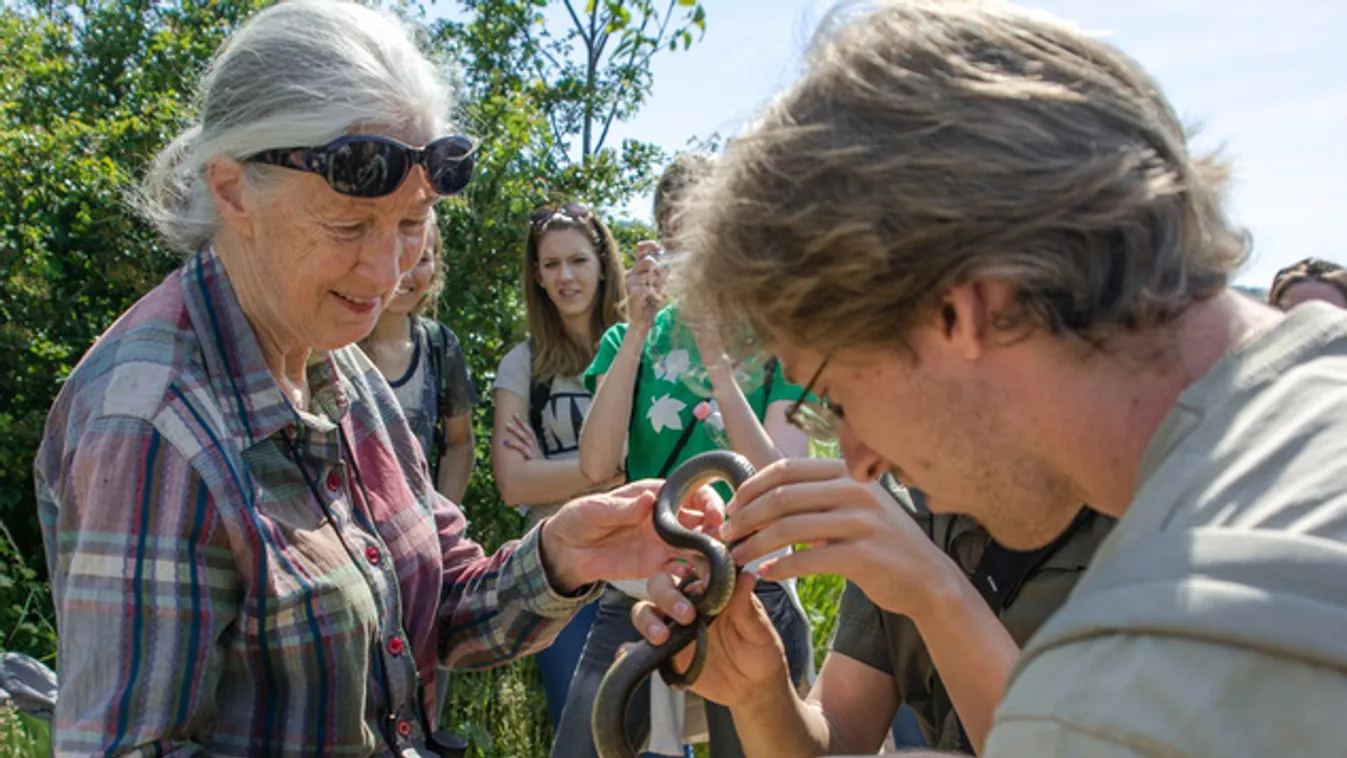 Májustól túrázhatunk a hűvösvölgyi Jane Goodall tanösvényen