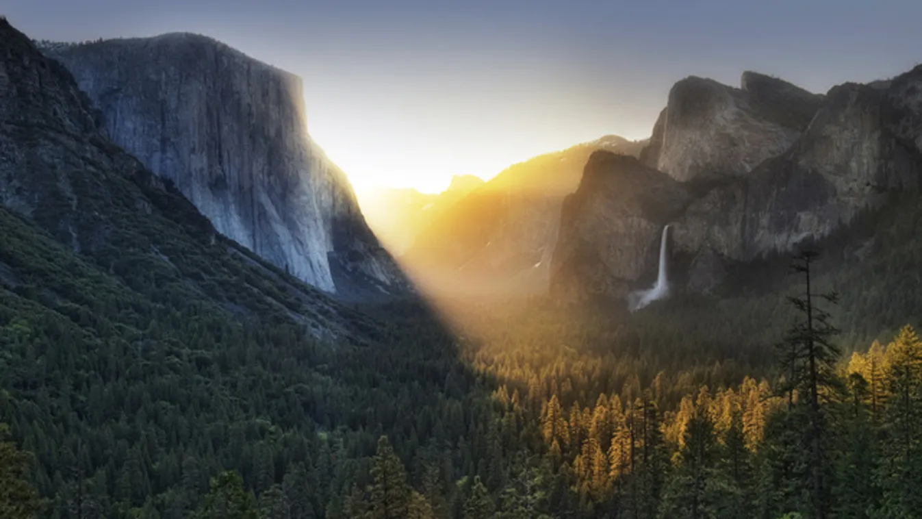 Online medvekövetőt vezetett be a Yosemite nemzeti park