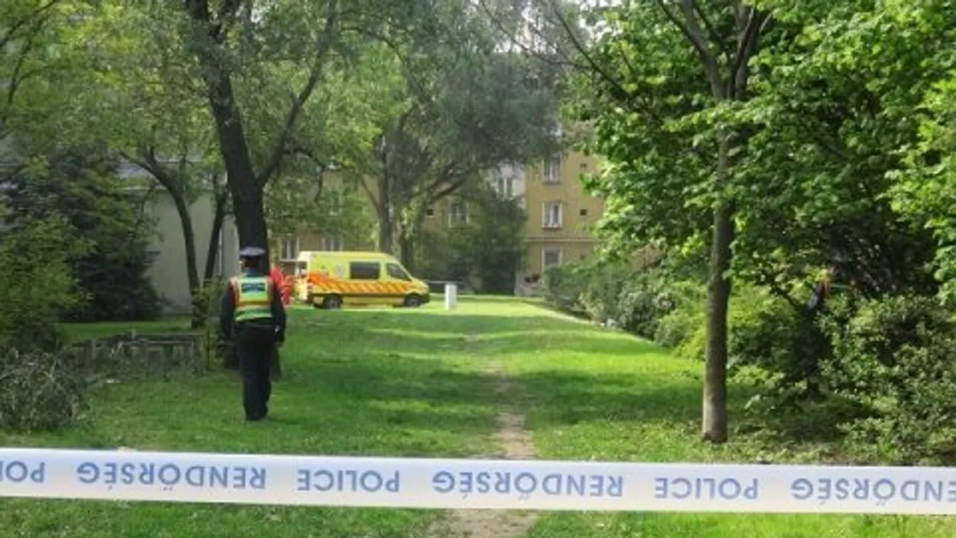 15 éves fiút állítottak elő a tatabányai gyilkosságok kapcsán