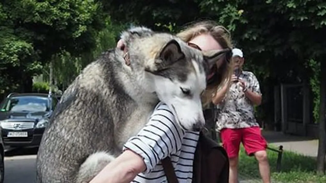 Cuki: Nézegessen indokolatlanul halálra rémülő kutyákat!