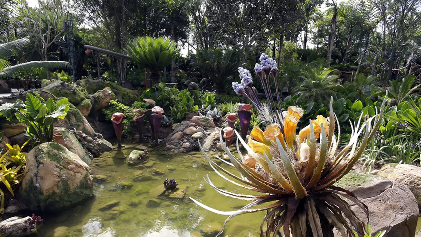 Disney Avatar élménypark nyitás előtt