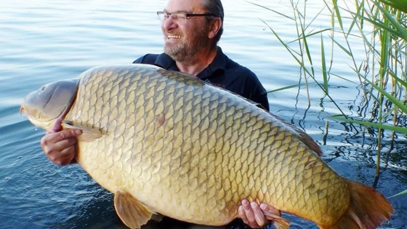 Rekordpontyot fogott Béla