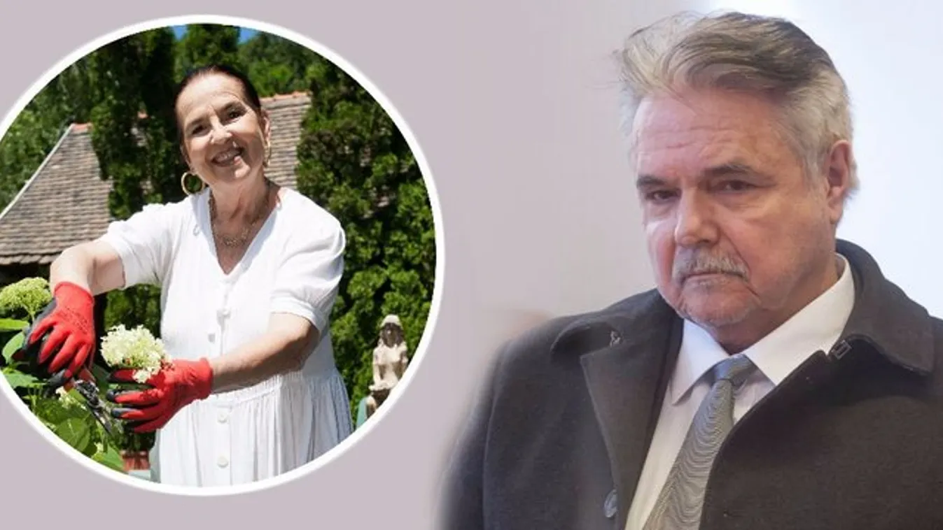 A baleset részletei: három métert zuhant Oszter Sándor felesége