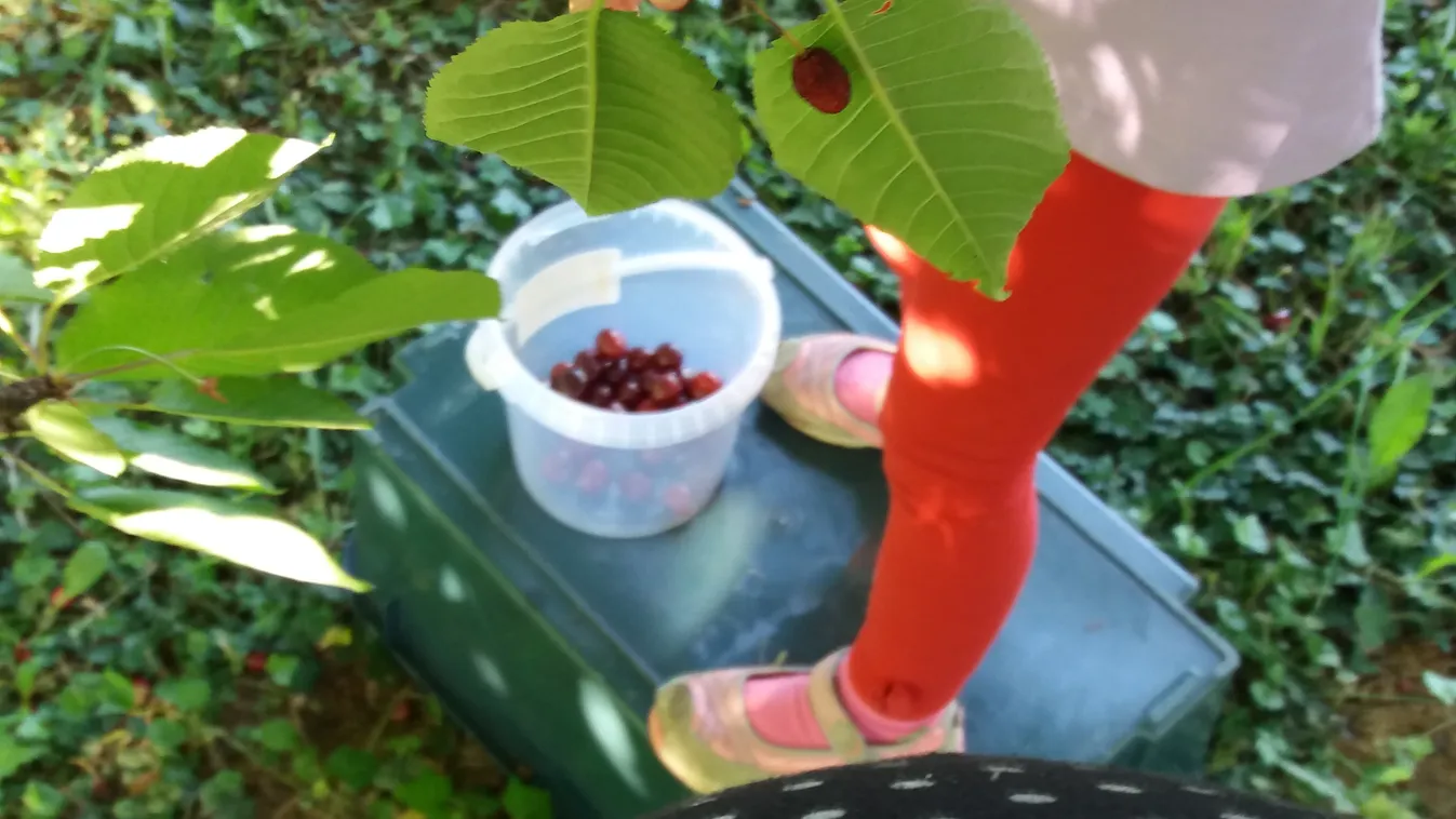 Szülés után hagyjon mindenki békén!
