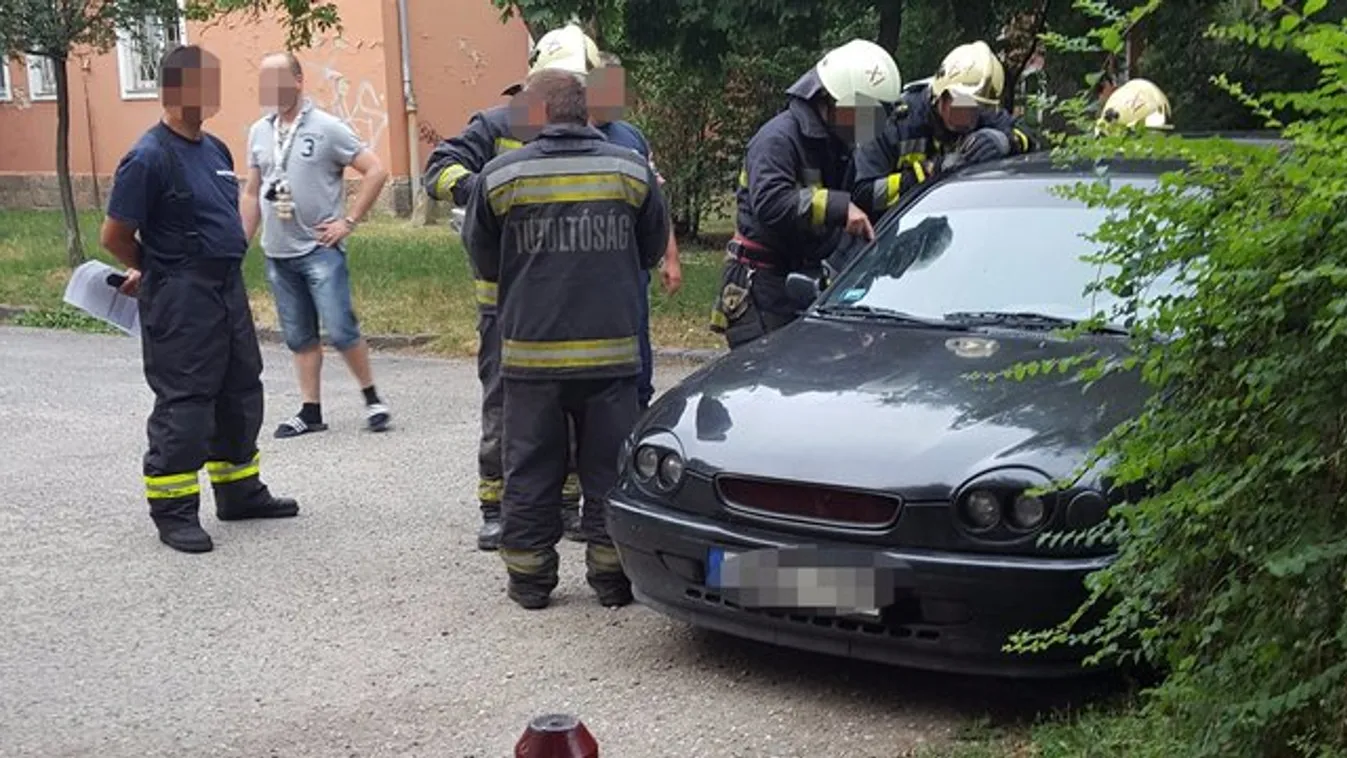 Felháborító: tűzoltók szabadították ki a kocsiba zárt kutyákat a XI. kerületben