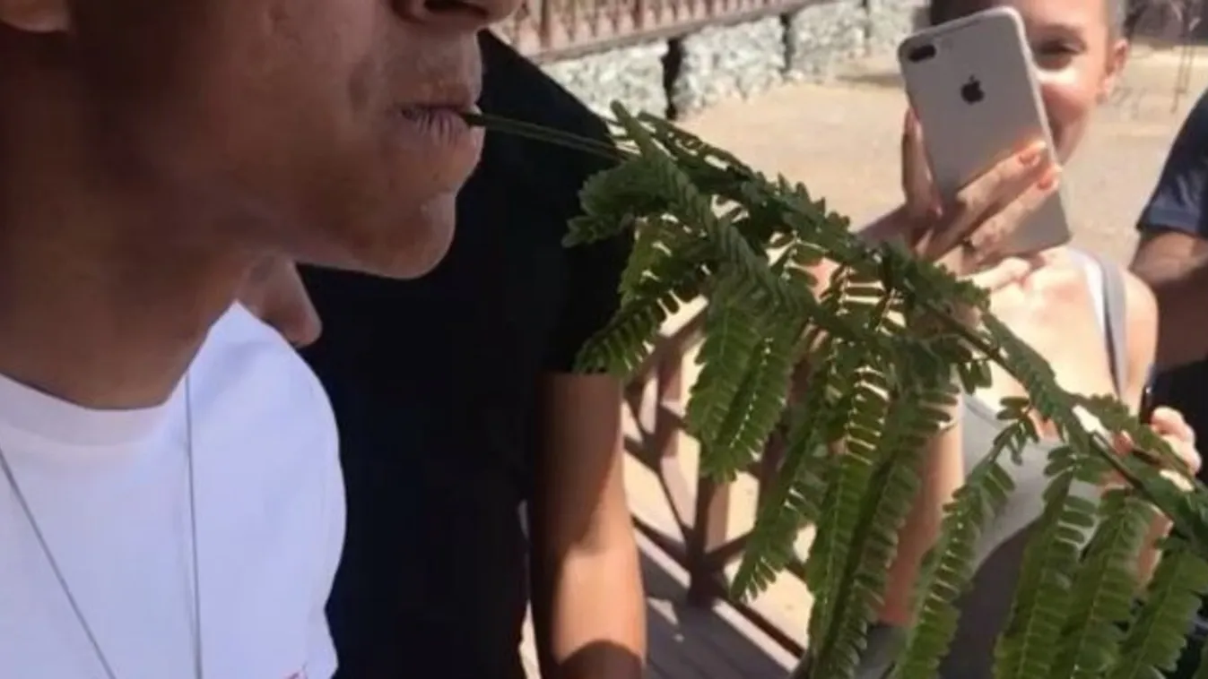 Az angol sztárfocista szájából ette ki a kaját egy teve - videó