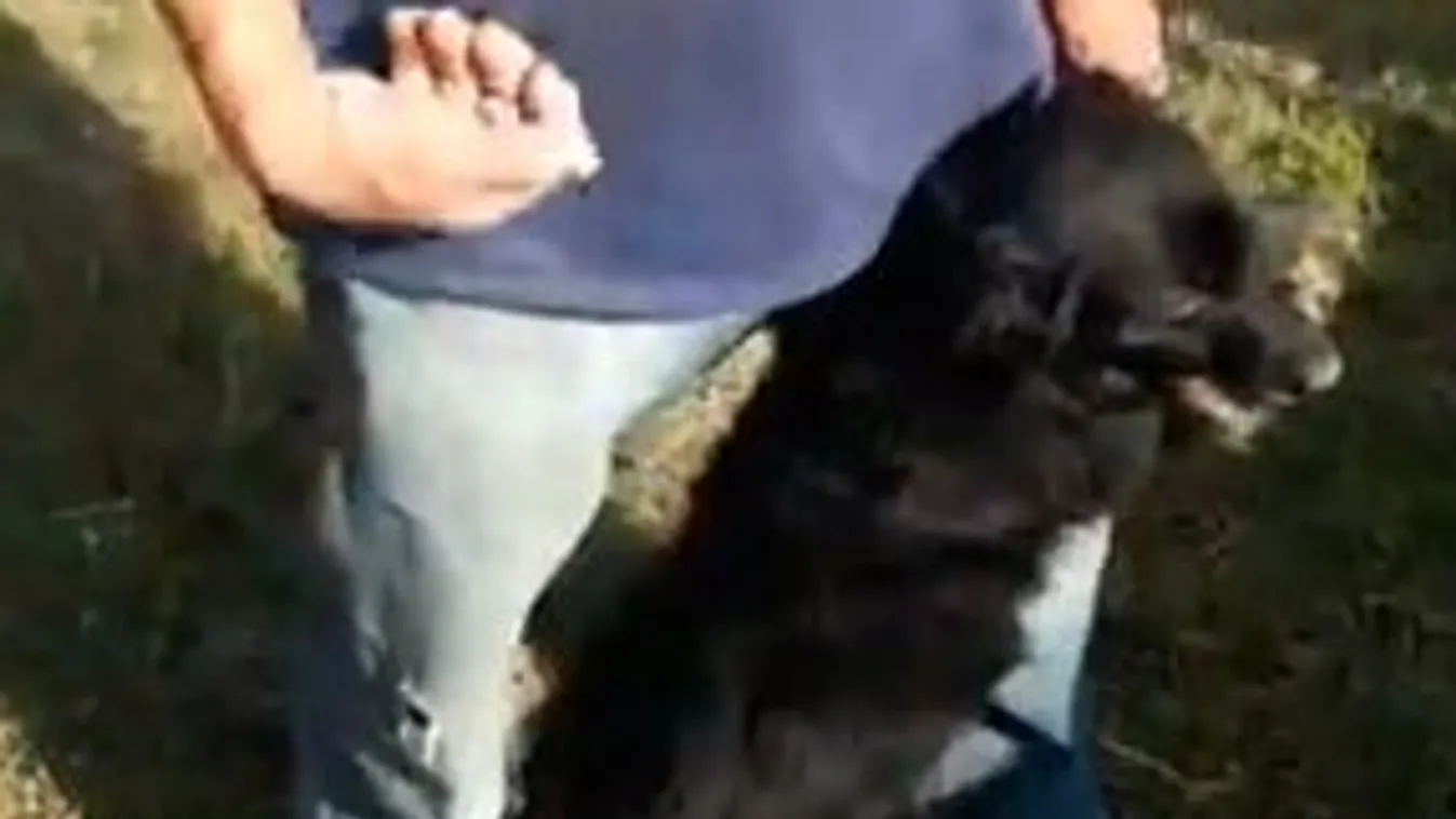 Levegővel akart ölni az egerlövői gazda