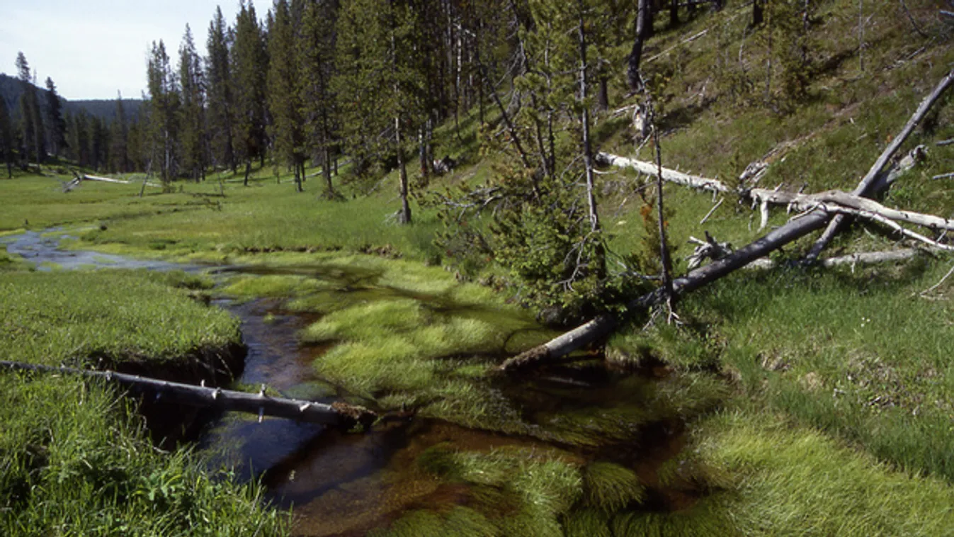 Másfél hónapja folyamatosan reng a föld a Yellowstone Nemzeti Parkban