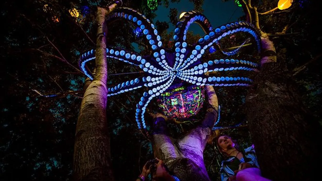 Művészi Kánaán lesz a Sziget Fesztiválon
