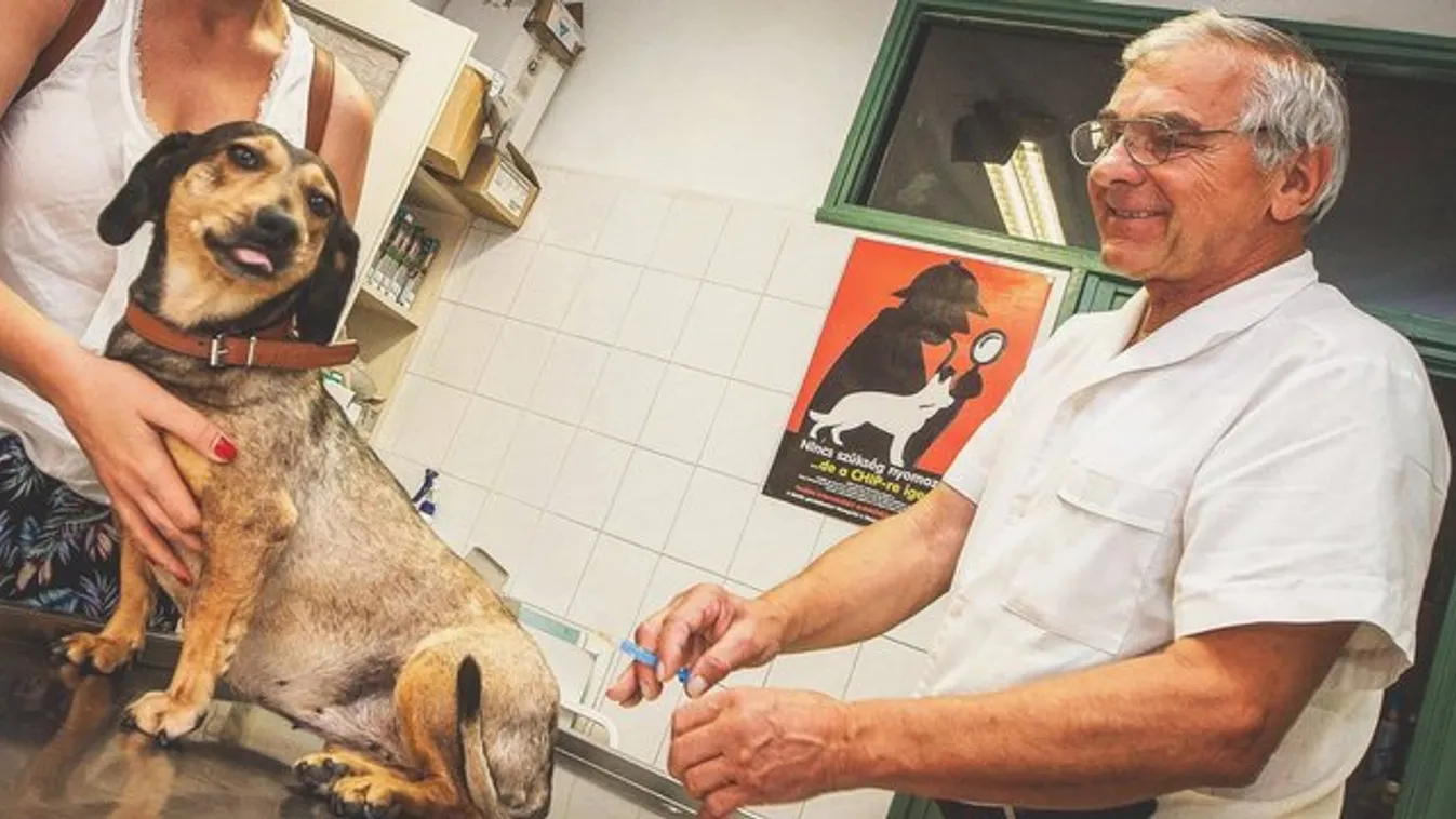 Nyelvet öltött az orvosra, megszúrták Tubit
