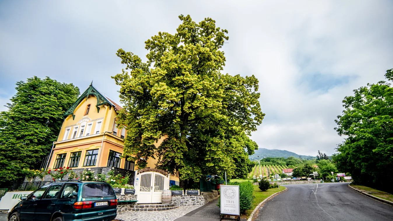 Közvilágítást kapott a badacsonytomaji bringaút