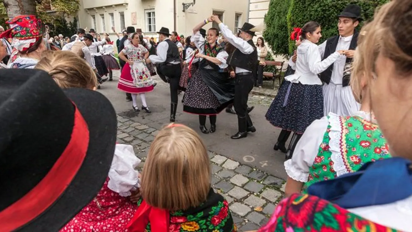 5+1 szüreti program a hétvégére