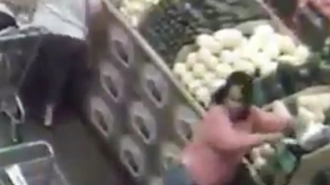 Így kirabolni egy idős hölgyet igazi pofátlanság – videó