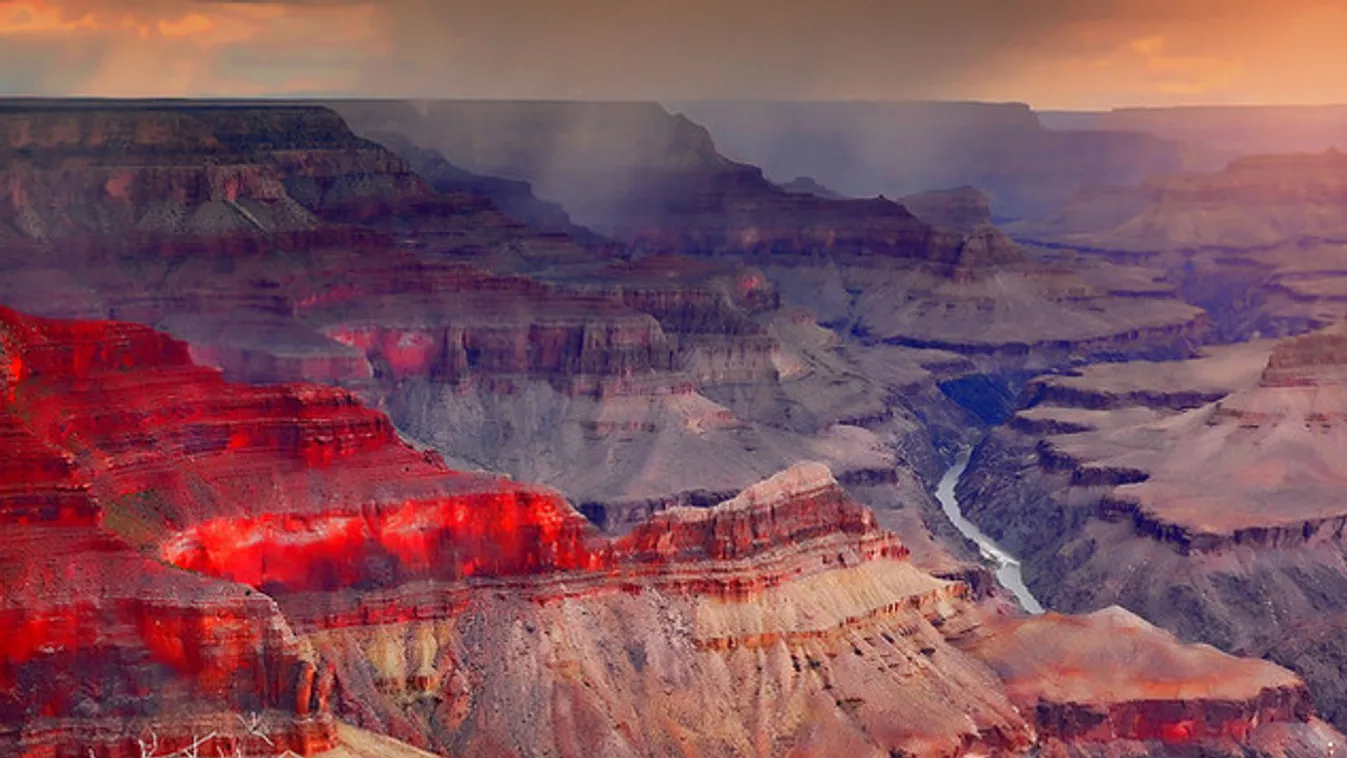Önkéntesekkel lövetik ki a bölényeket a Grand Canyonban