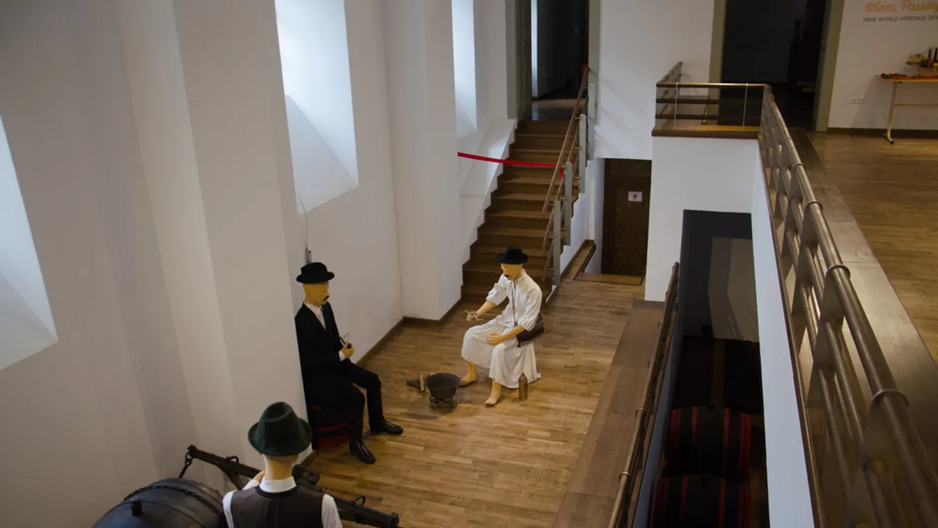 Világörökségi Bormúzeum