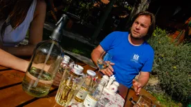 Három balatoni borász, akiknek birtokát egyszer látni kell