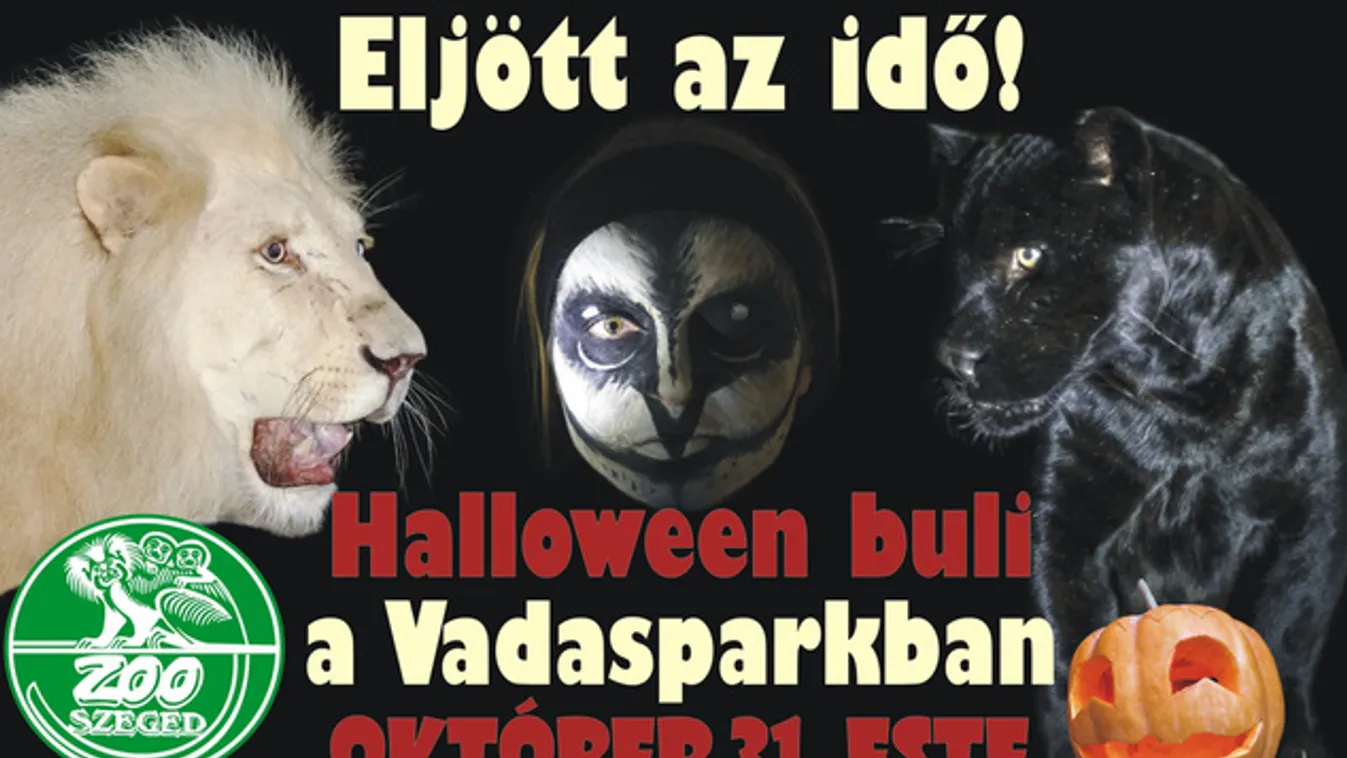 Kísértetekkel felszerelt vadasparki kocsikázást tartanak Szegeden