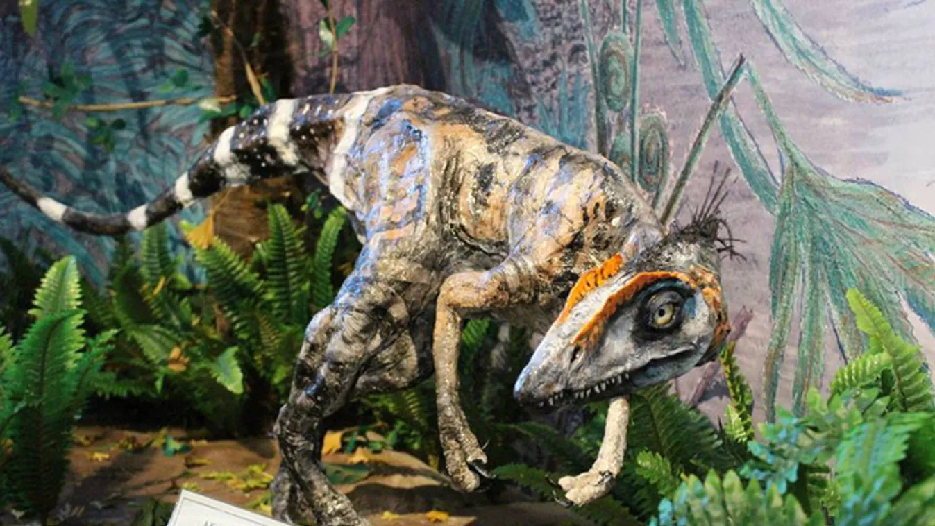Eredjen a Komlosaurus nyomába a Mecseki Jurassic Parkban!