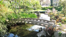 Japán kertészek újítják fel a világ összes japánkertjét