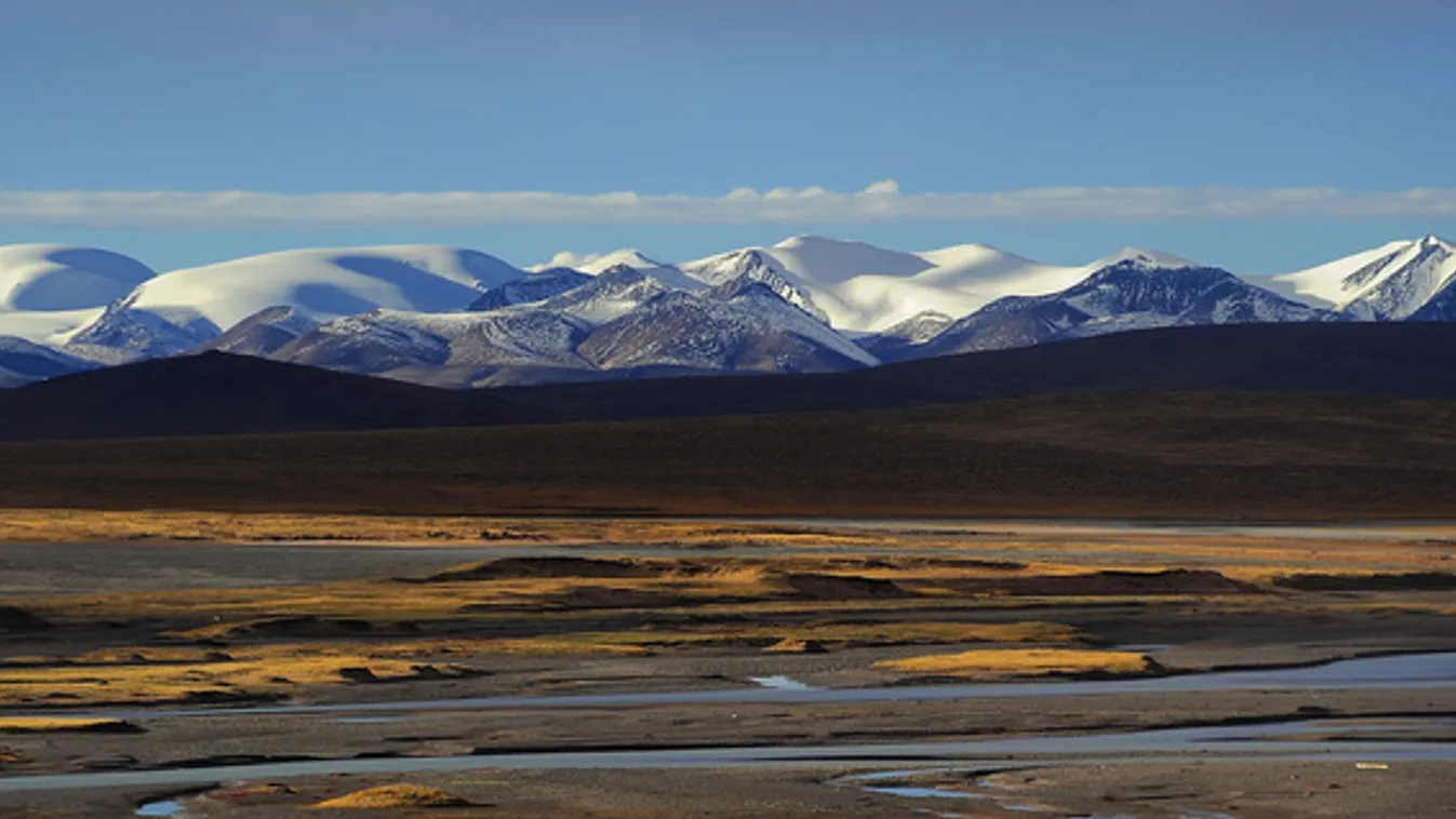 Tibeti antilopok autós üldözéséért büntettek meg turistákat Kínában