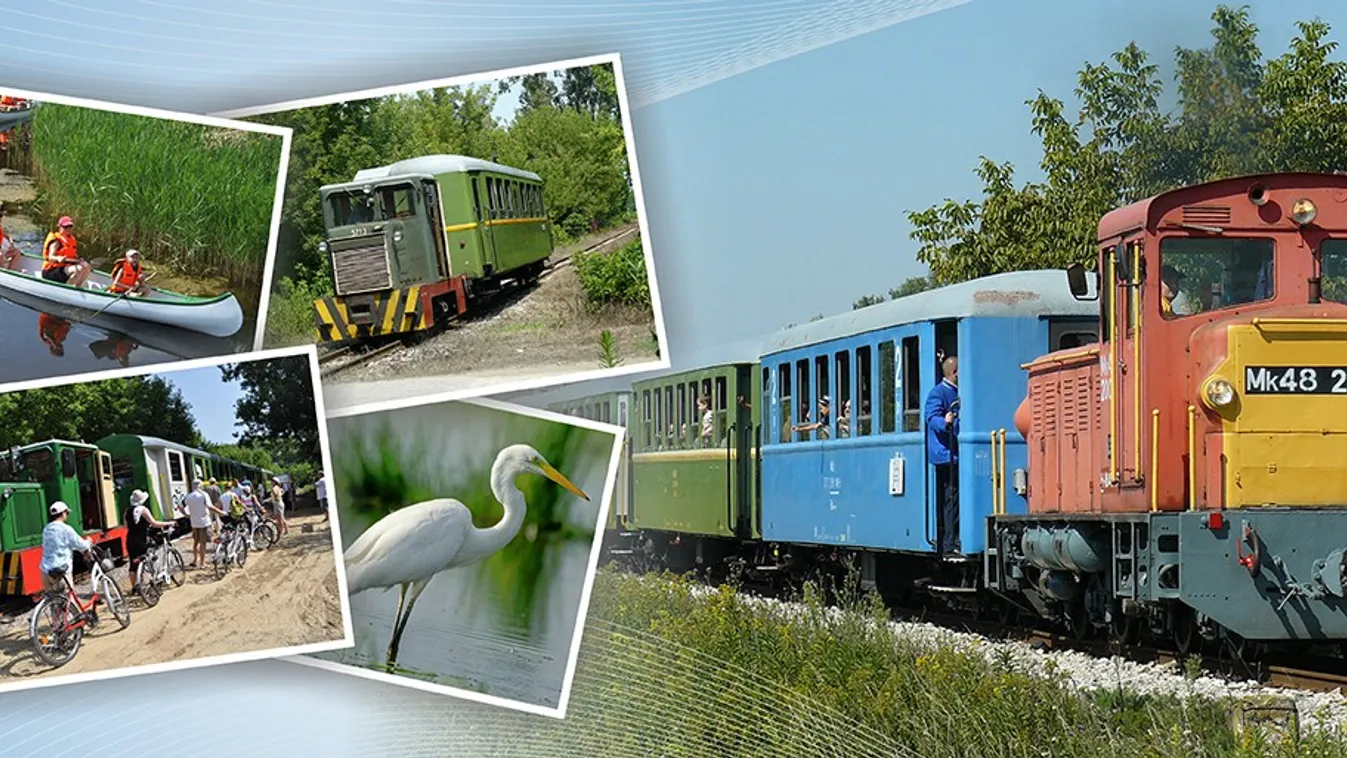 Balatonfenyvesen a MÁV kisvonatán érkezik a Mikulás