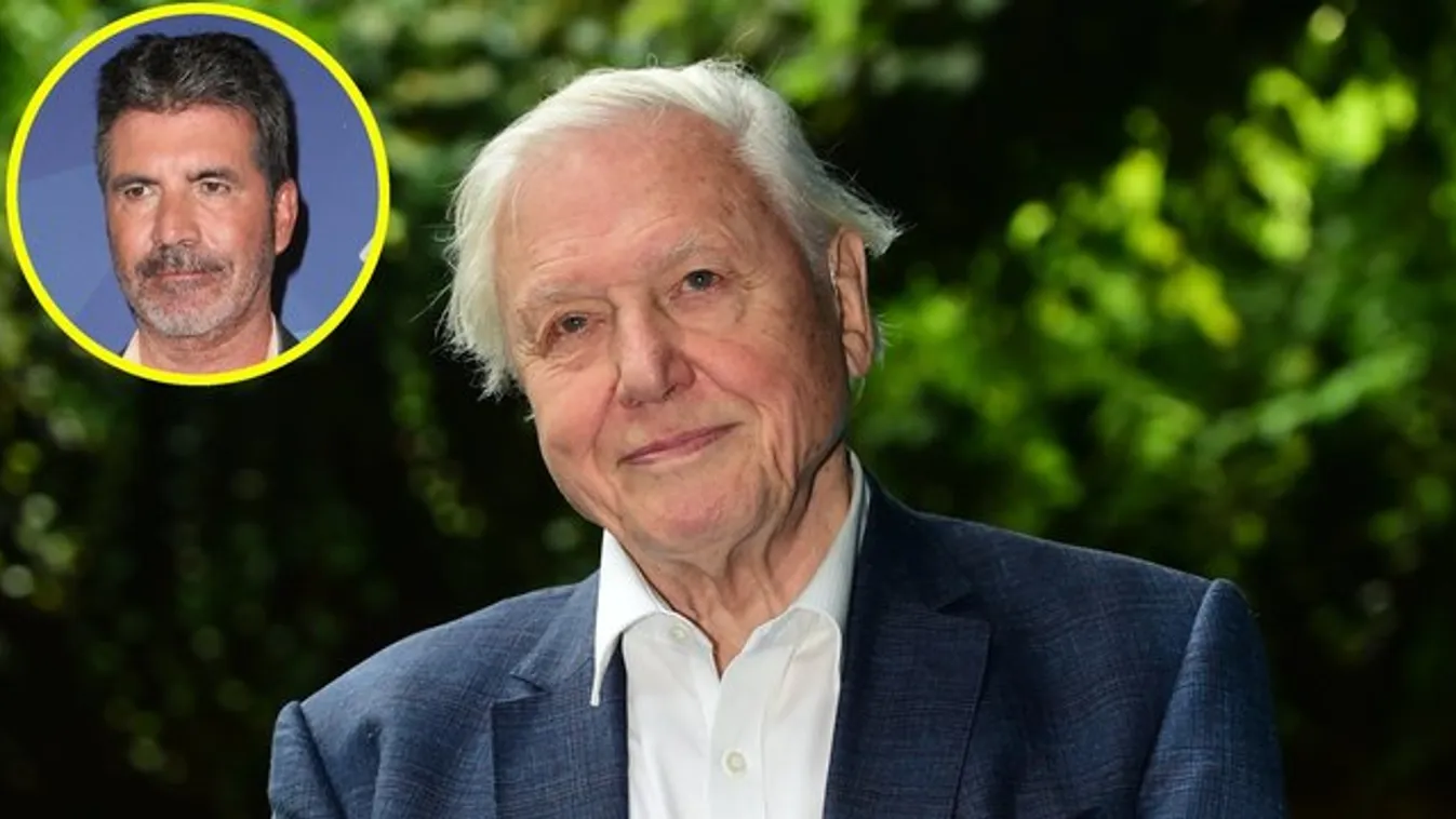 David Attenborough legyőzte az egyik legnépszerűbb tehetségkutatót