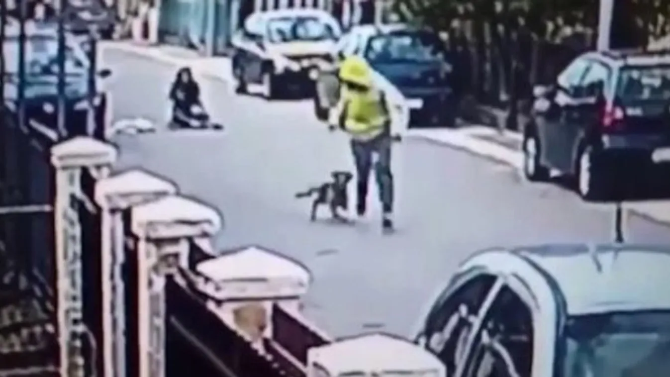 Ha eddig nem lett volna egyértelmű, a kutyák néha igazi hősök – videó