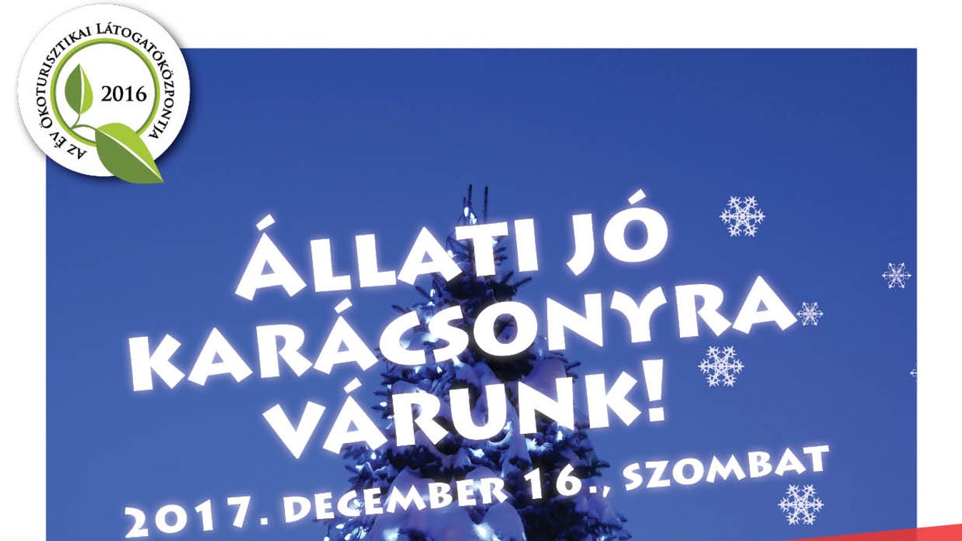 https://cdn.borsonline.hu/2017/12/lKyrThtaPpKrgBL5JI47pJHB5P02TWK42gDl0JjAYAU/fill/1347/758/no/1/aHR0cHM6Ly9jbXNjZG4uYXBwLmNvbnRlbnQucHJpdmF0ZS9jb250ZW50LzM1Y2Y4Yzk4ZmY2NTQ4YTJhYWQwYTk1YzM1OGZlZTE0.jpg