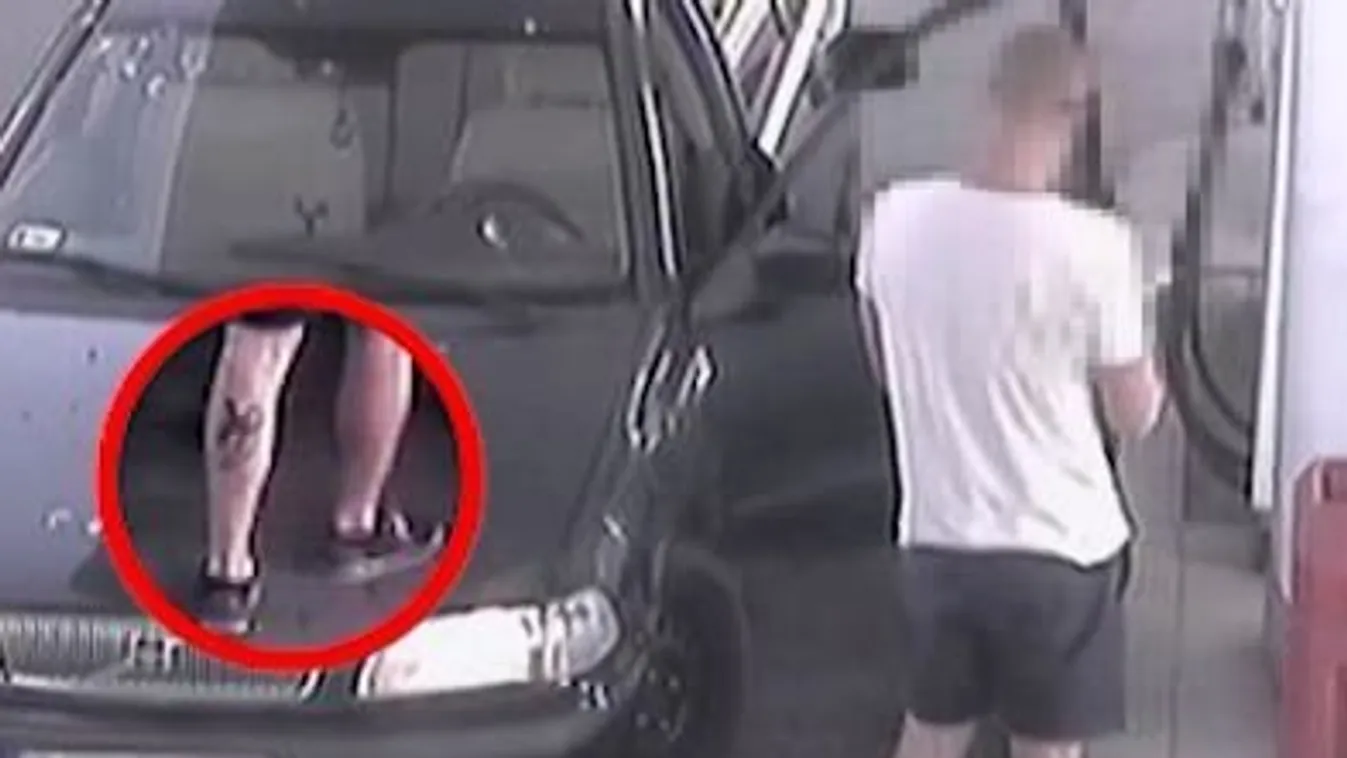 Bambis tetoválás buktatta le a kopasz rendszámhamisítót Pécsett