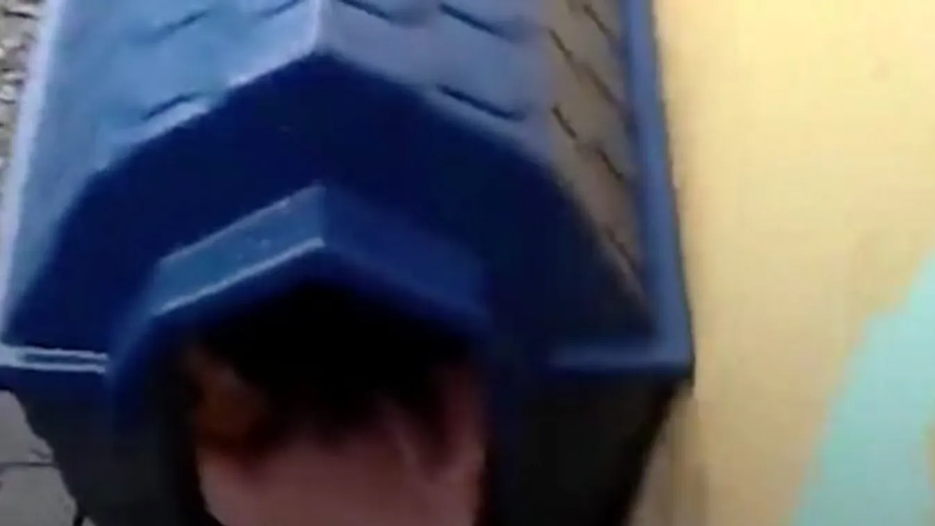 Szülőszobává alakult ez a kutyaház – videó