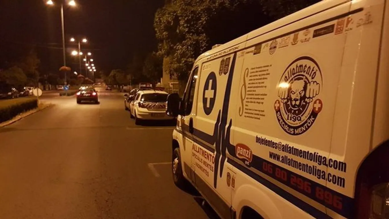 Kiakadtak az állatmentők, mert nem mehetnek a buszsávban