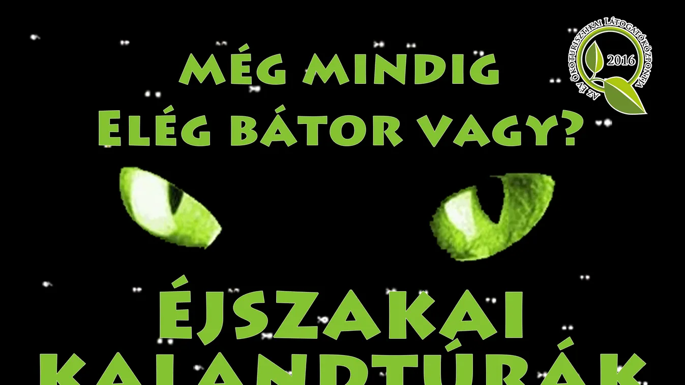 Szeretné tudni, mit csinál a bagoly éjjel? Kalandtúrázzon!
