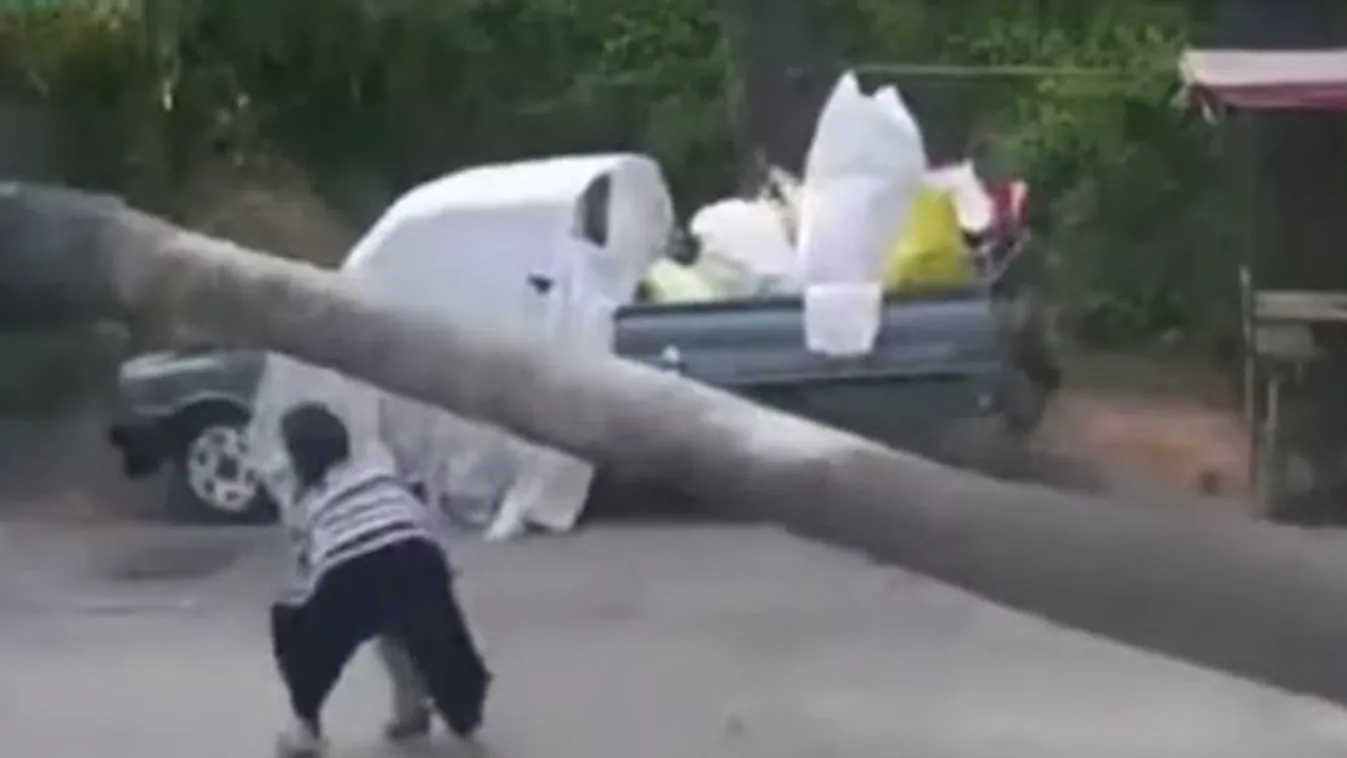 Egy centi híján halálra zúzta a két éves fiút a pálmafa – videó
