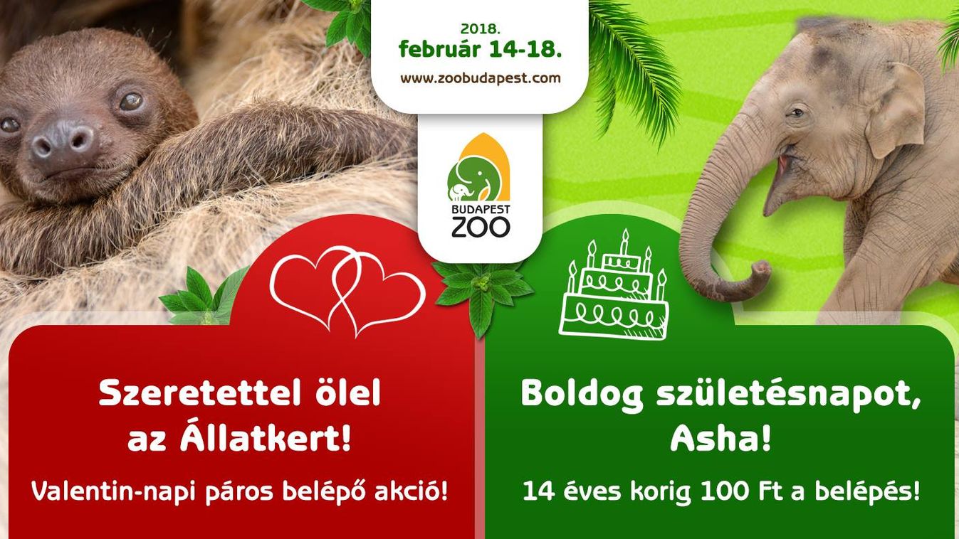 https://cdn.borsonline.hu/2018/02/fV2RSDyZeeFHLrtz4Ar4ybhPLpXWylafjVzFzRqyZxw/fill/1347/758/no/1/aHR0cHM6Ly9jbXNjZG4uYXBwLmNvbnRlbnQucHJpdmF0ZS9jb250ZW50LzQ4ZjM1YTcyZjE2NjRiZmZhZjAyMGJjODcxODI5MmZm.jpg