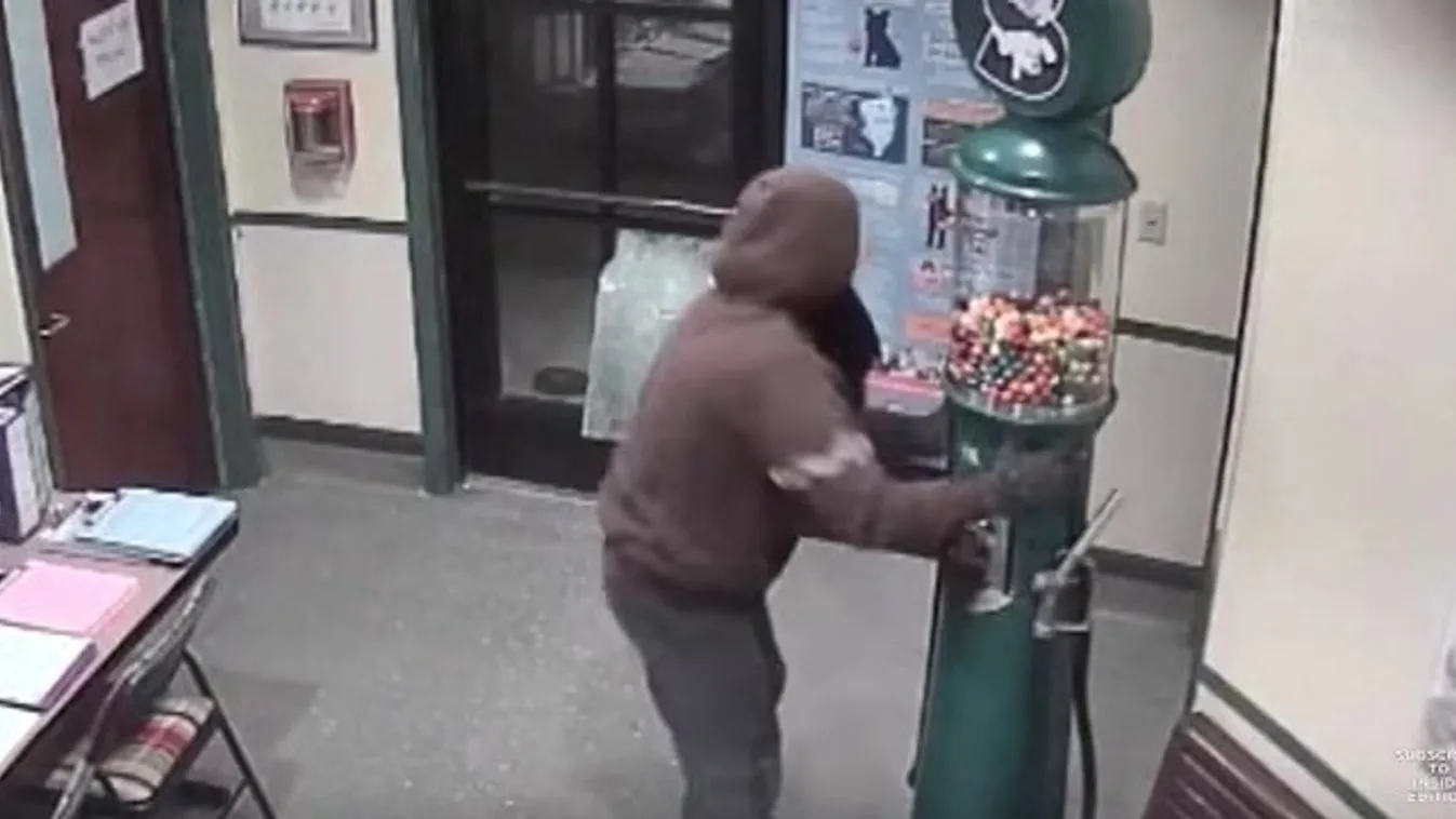 Nincsenek szavak arra, amit ez a tolvaj művelt az állatmenhelyen – videó