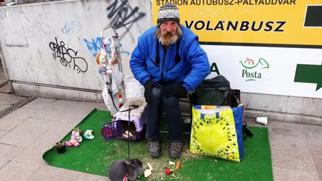 Nyusziként ajándékoz édességet egy hajléktalan Budapesten