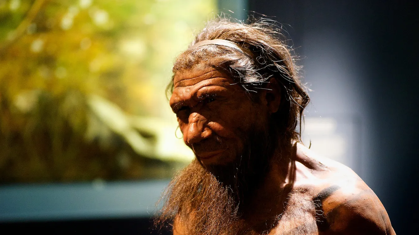 Neandervölgyiek eddigi legrégebbi faeszközeit tárták fel Spanyolországban