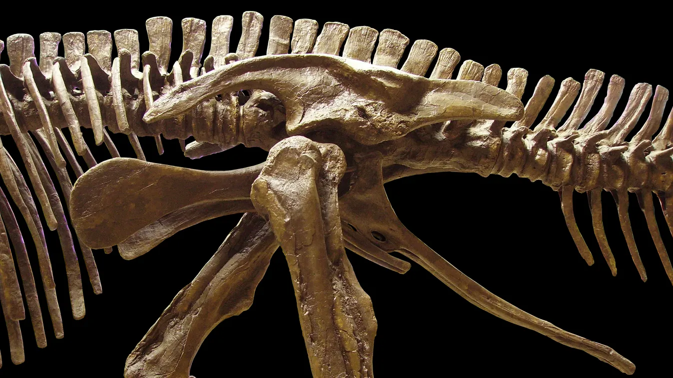 Dinoszaurusz-lábnyomokra bukkantak a skóciai Skye-szigeten
