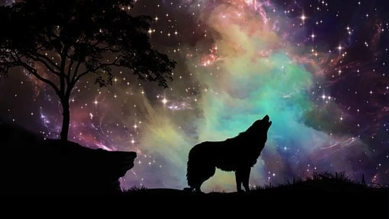 Bepillanthatnak a távoli galaxisok világába a nemzeti parkok csillagsétáin