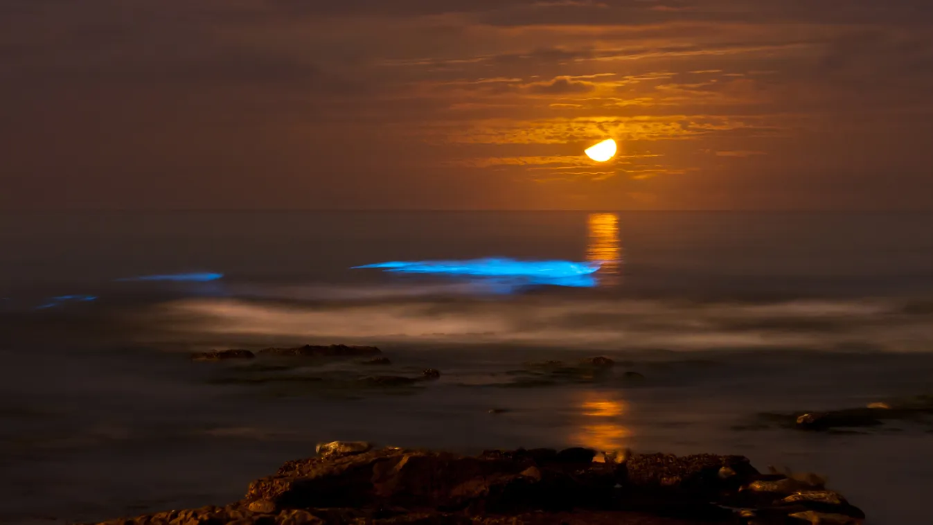 Néhány napja kék fényben fluoreszkál éjszakánként San Diego vízpartja