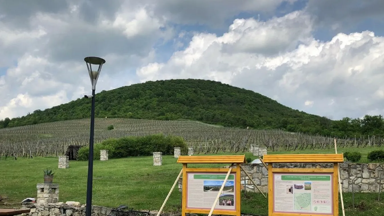 A szőlőművelő ember és a természet közös tanösvényt kapott Tokajban
