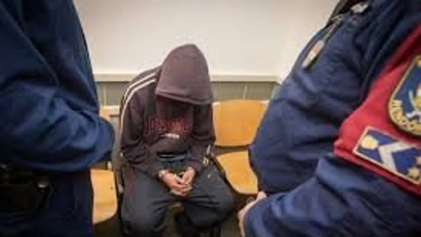 Tatabányai kettős hajléktalan gyilkosság: Macival együtt ölt a 15 éves Apolló?