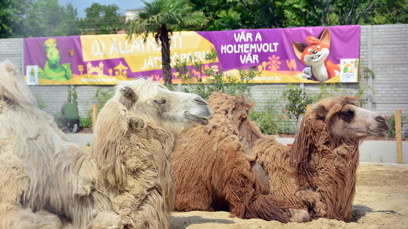 Megnyílt a Holnemvolt Vár, az Állatkert új játszóparkja