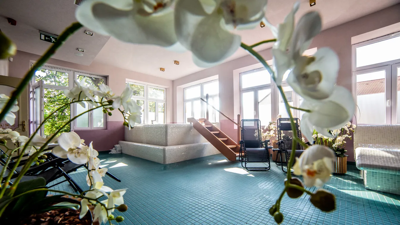 Wellness a Neptun Hotelben és vacsora a Tilia étteremben