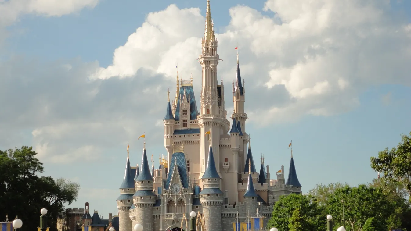 Száguldás a házasságba – A disneylandi leánykérés, ami bejárta a netet