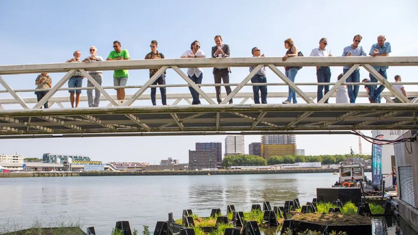 Rotterdam újrahasznosított anyagokból épített úszó parkot