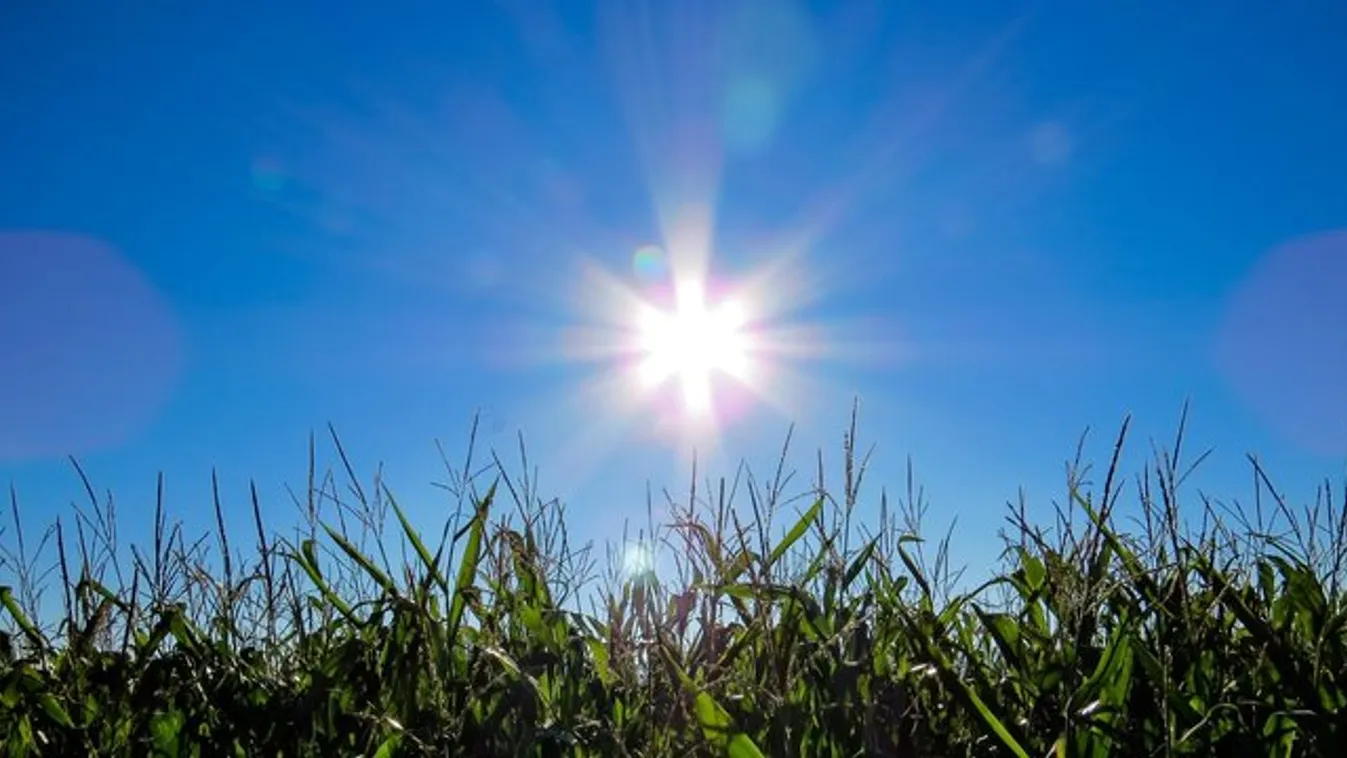 Továbbra is a hőség uralja az időjárást