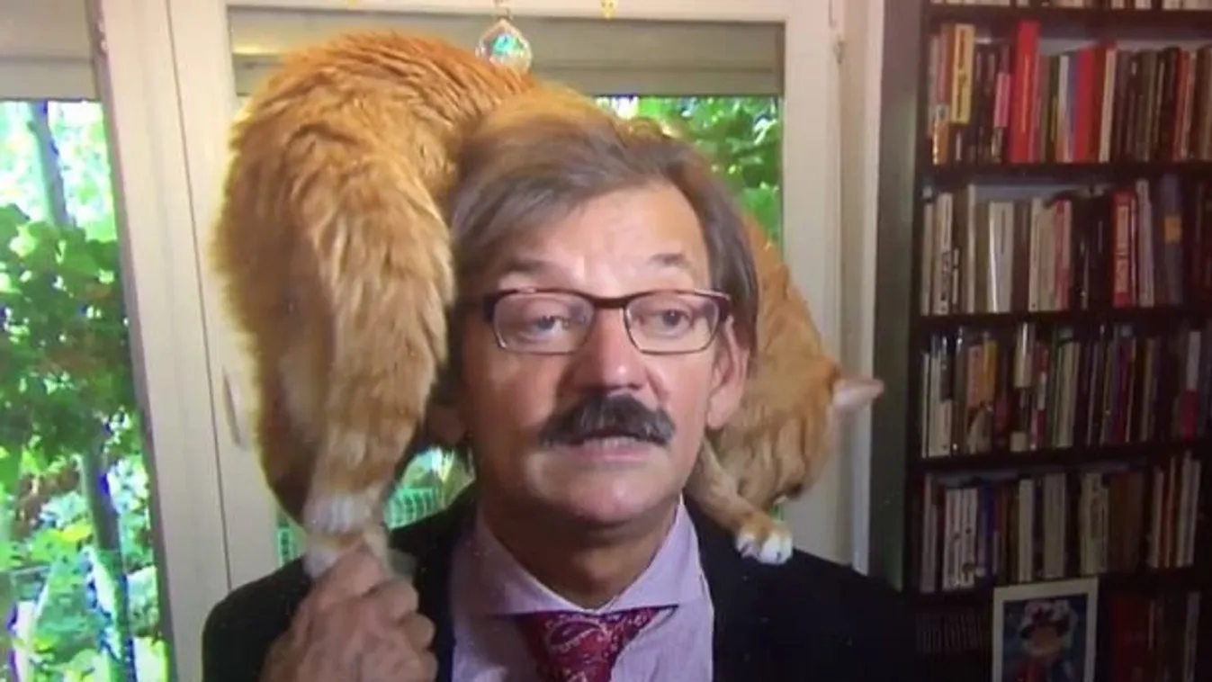 Ez egy komoly interjúnak indult, aztán megjelent egy cica - videó
