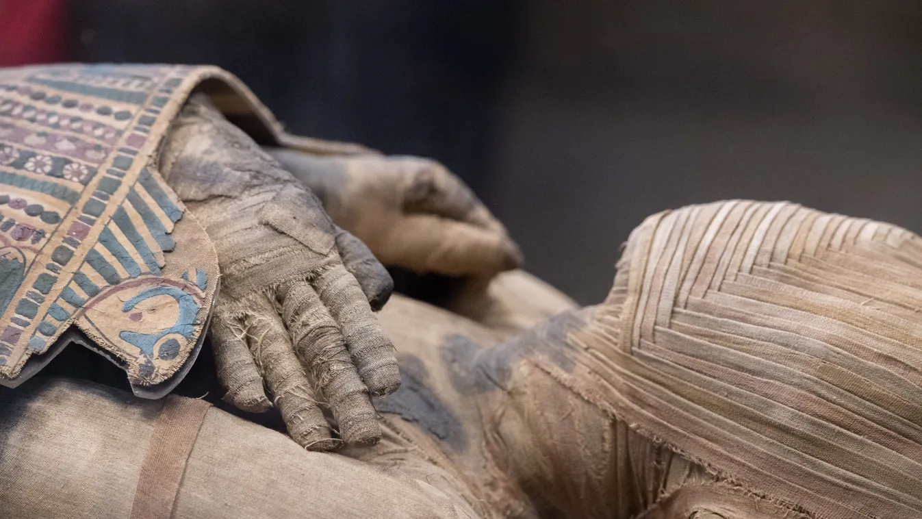 A váci Memento Mori kiállítás múmiái is Budapestre jönnek