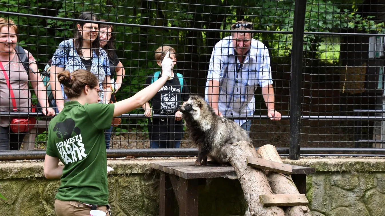 Kíváncsi rá hogyan tanulnak a Budakeszi Vadaspark lakói? Megnézheti!